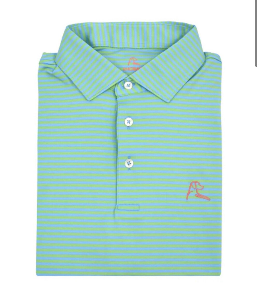 Rhoback Men’s XL Birdie Stripe Rhoback Performance Polo Green Blue Striped